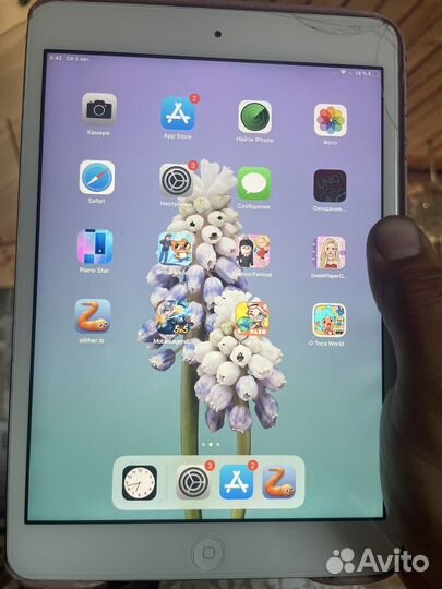 iPad mini 2