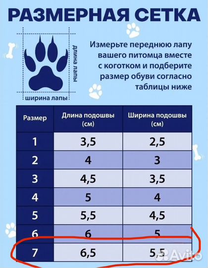 Обувь для животных