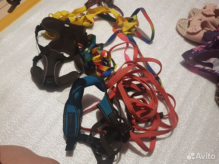 Поводок для собак