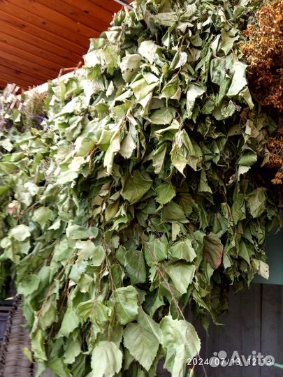 Берёзовые веники для бани сауны