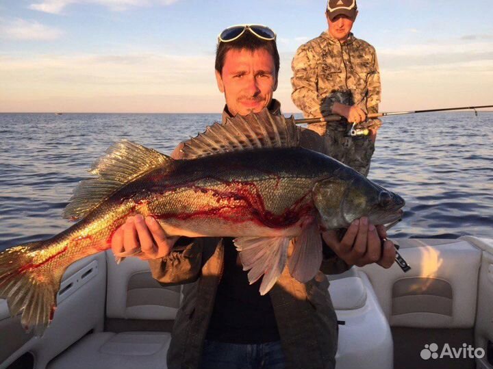 Рыбалка с panoptix на рыбинском водохранилище