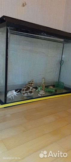 Аквариум