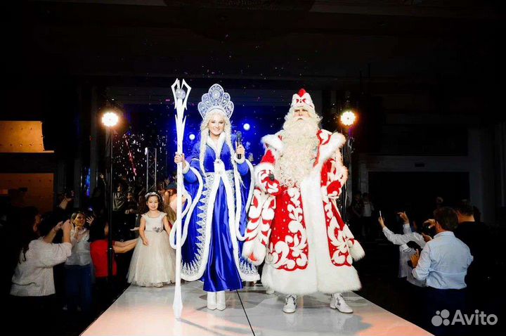 Дед мороз и снегурочка на дом