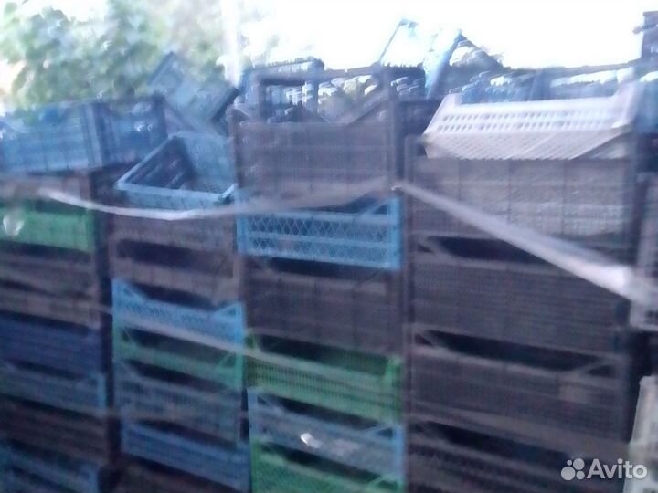 Пластиковые ящики для овощей бу