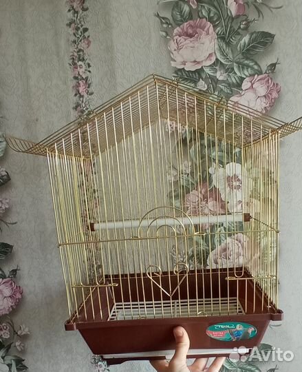 Клетка для попугая бу. Торг уместен