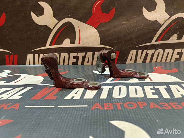 Петли двери задней Ford Focus 2