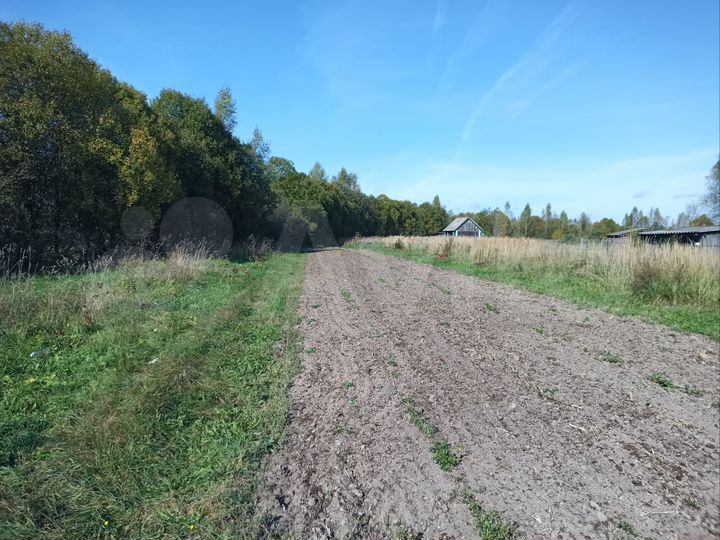 Участок 6 сот. (ИЖС)