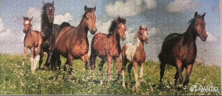 Пазлы (полный комплект)