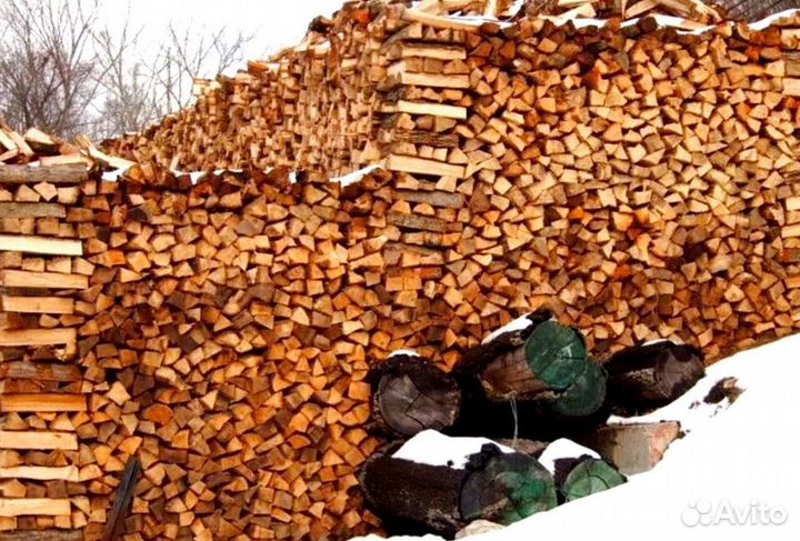 Дрова без плесени