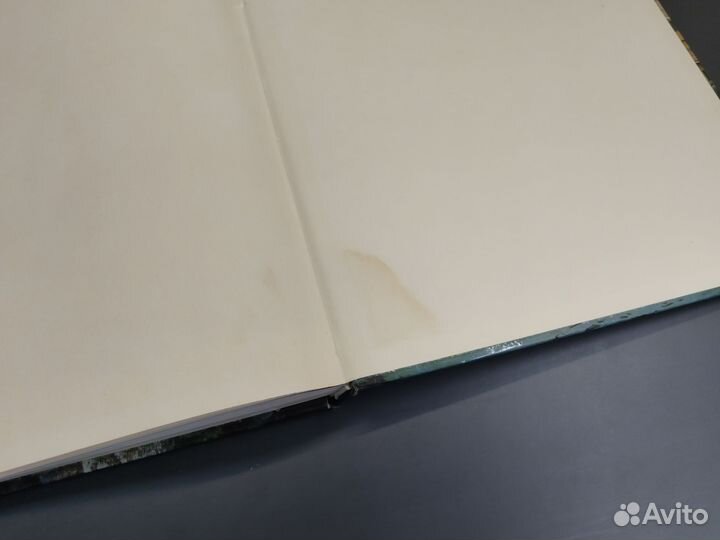 Burgen in Europa. Книга на немецком языке