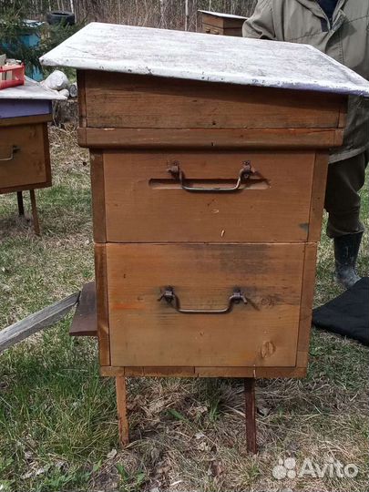 Пчелы и улья