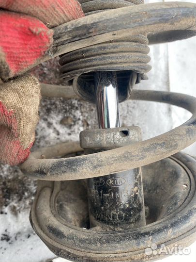 Kia cerato 2 Передние Амортизаторы Стойки