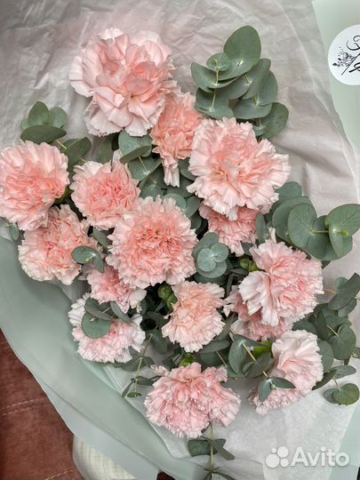 Букеты и композиции с диантусами (гвоздики)