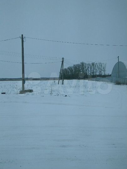 Участок 17 сот. (СНТ, ДНП)