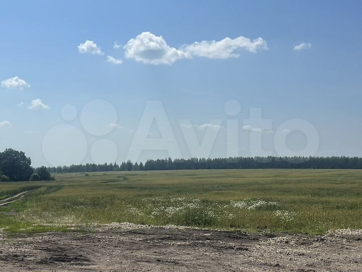 Участок 15 га (СНТ, ДНП)