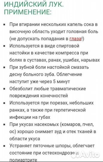 Продам ростки индийского лука