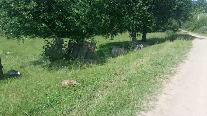 Участок 9 сот. (ИЖС)