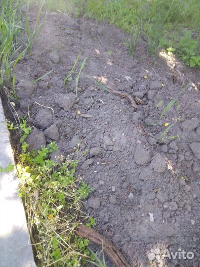 Навоз прелый коровий,чернозем ЗИЛ 5т,камаз 15т,газ