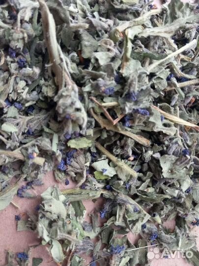 Медуница сухоцвет