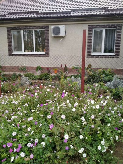 Дом 150 м² на участке 12 сот.