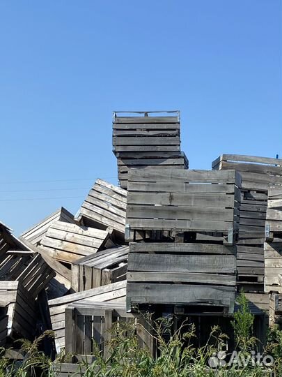 Деревянные ящики для овощей и фруктов б/у