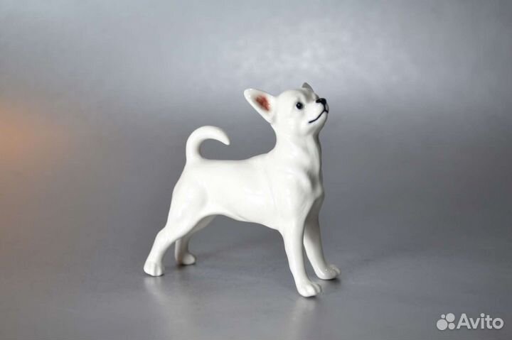 Чихуахуа белая фарфоровая статуэтка