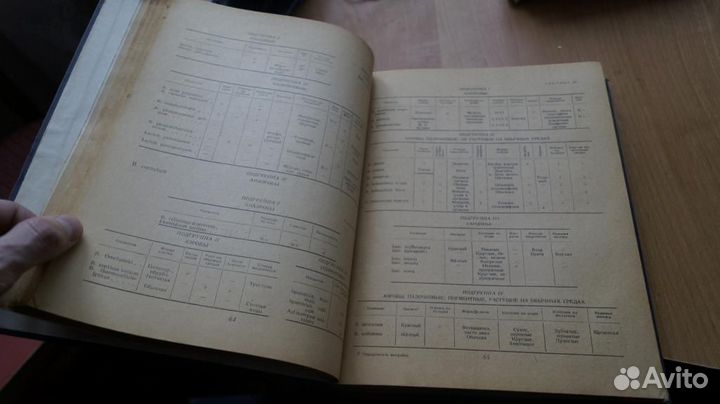 Цион, Р. А. Определитель микробов. М. Сельхозгиз 1