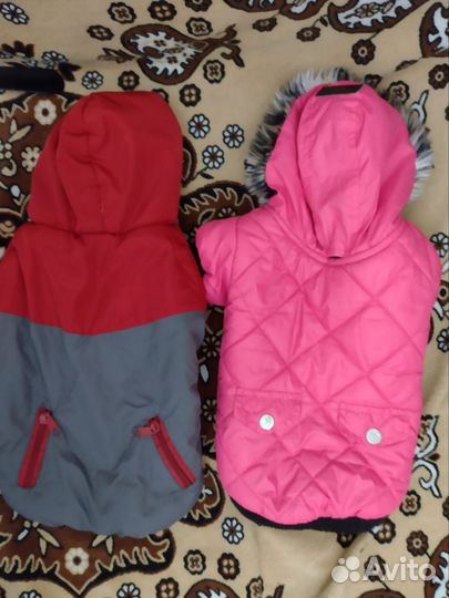 Одежда для собак