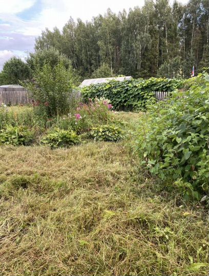 Участок 12,5 сот. (СНТ, ДНП)