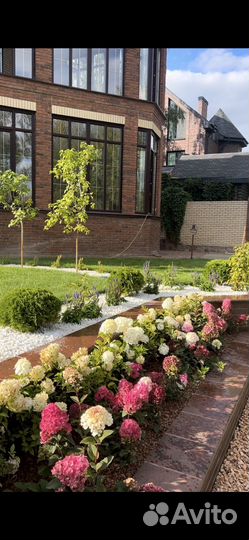 Автополив / Система полива