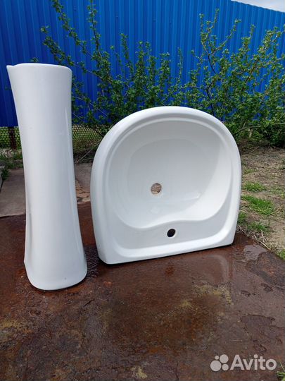 Раковина тюльпан