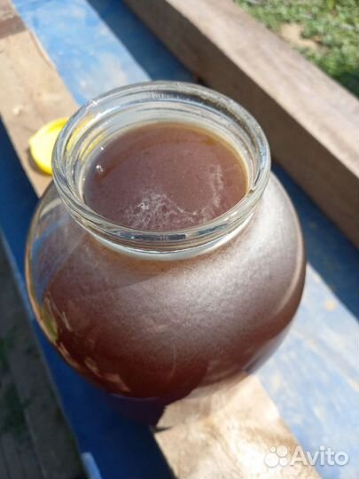 Липовый мед доставка бесплатно