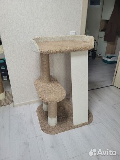 Когтеточка