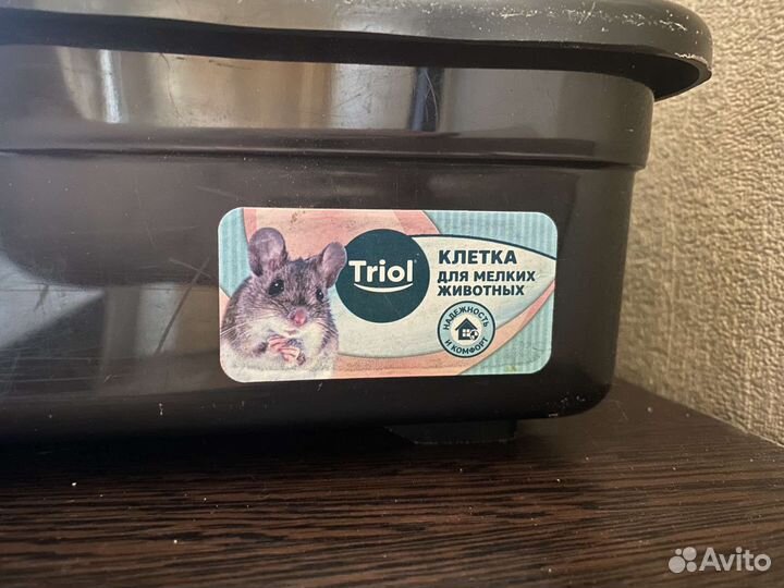 2 шиншиллы с клеткой и всеми принадлежностями