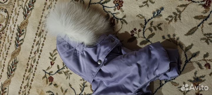 Комбинезон для маленькой собаки девочки
