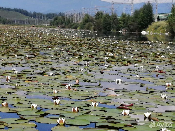 Отдых на Байкале экскурсии