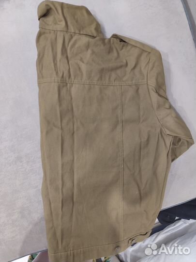 Бойцовка отрядная, зелёная