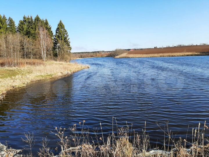 Участок 30 сот. (ИЖС)