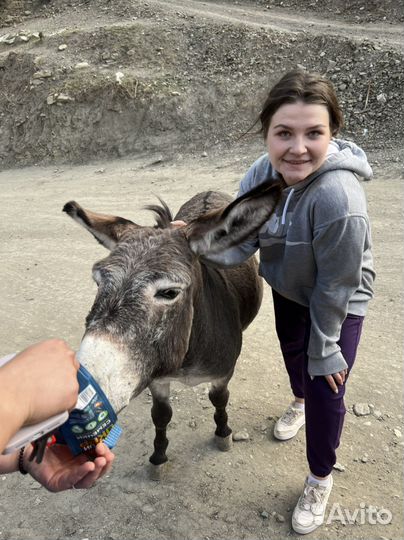 Сулакский каньен прогулка на Катере Джипинг
