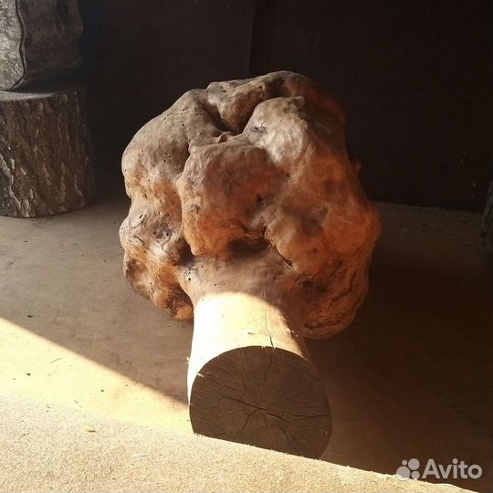 Кап березовый очищенный