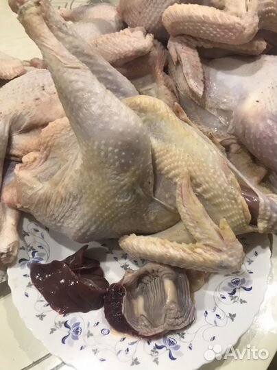 Деревенские курочки на мясо