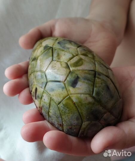 Подарок к Пасхе шоколадное яйцо