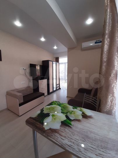 Квартира-студия, 23,1 м², 3/3 эт.