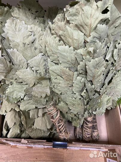 Банные веники в ассортименте