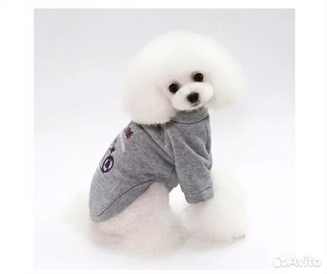 Пайта для мелких и средних собак