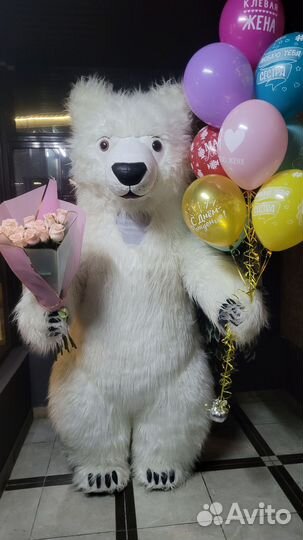 Белый Медведь Панорамыч