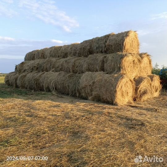 Сено в тюках