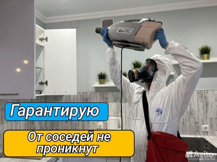 Уничтожение клопов, травить тараканов. Дезинфекция