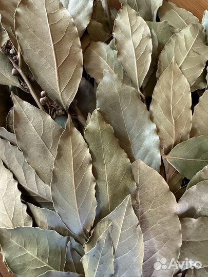 Лавровый лист в пучках