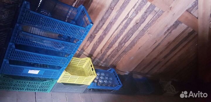 Пластиковые ящики для овощей, ягод и грибов